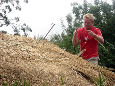 thatching